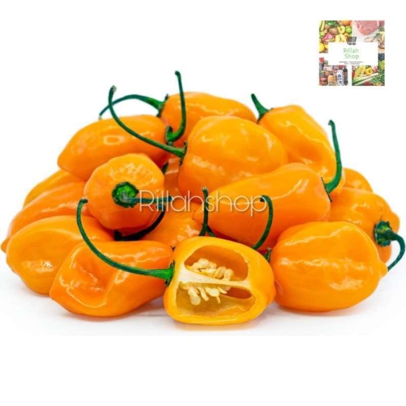 Agen Habanero Alternatif Terbaik untuk Anda